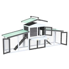 Raye Fir Wood & Mesh Wire Chicken Coop